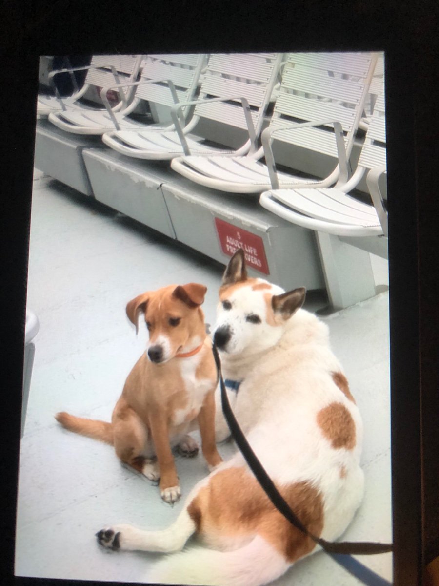 molsonme's tweet image. 