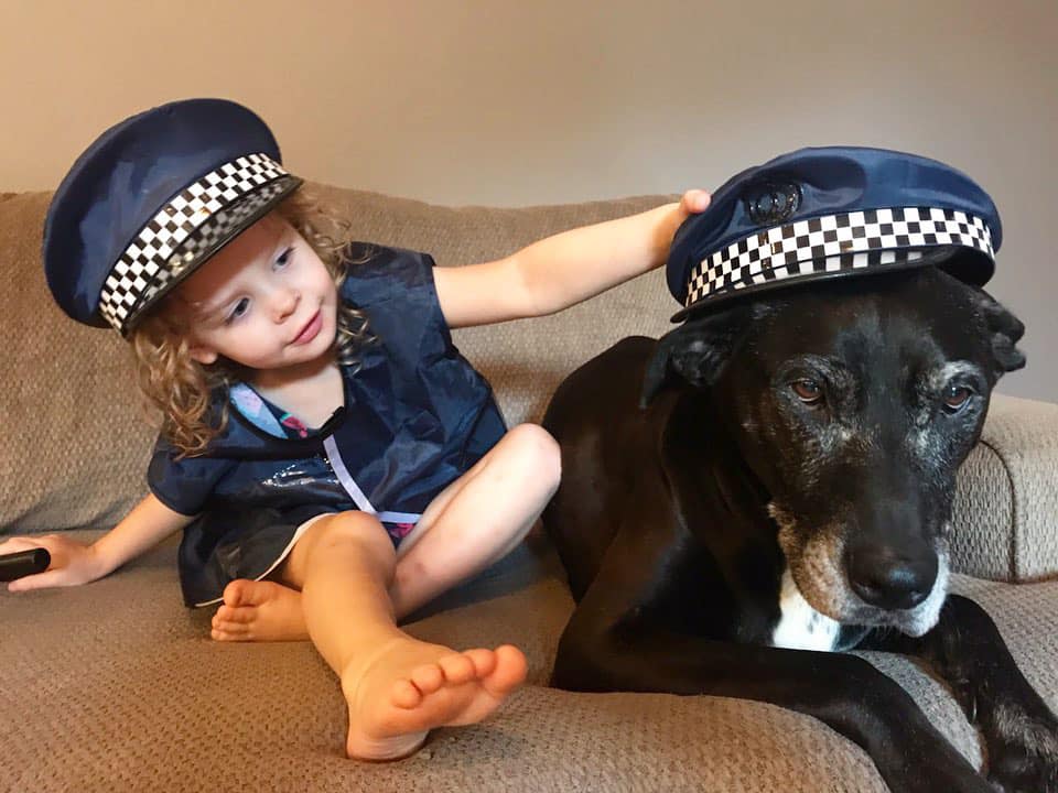 samforhouston's tweet photo. In honor of #NationalDogDay, Sam’s daughter Briella would like introduce you to their four legged family members. Meet Kera and Kip! Let’s see your pup pictures below! 🐶 #SamForHouston https://t.co/gTwcAPXVN3
