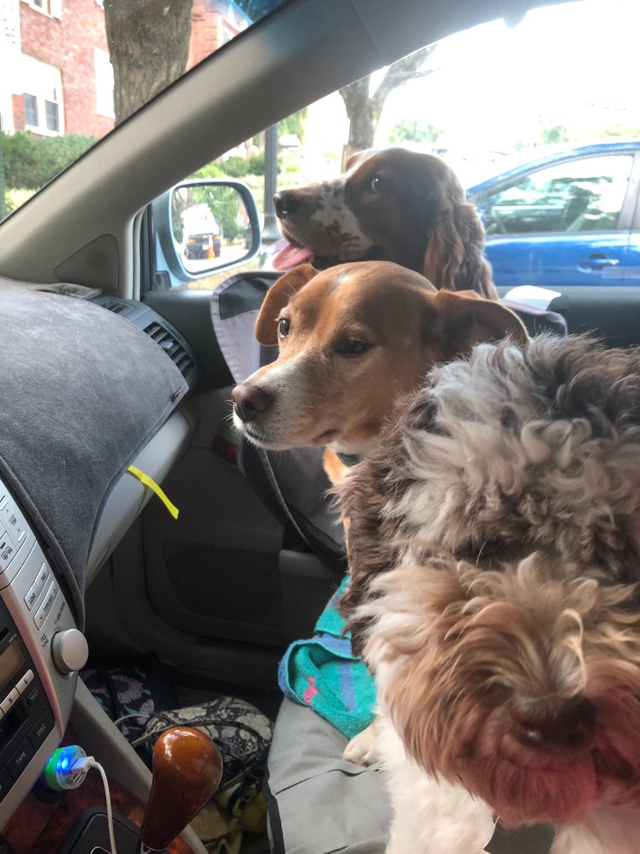 molsonme's tweet image. 