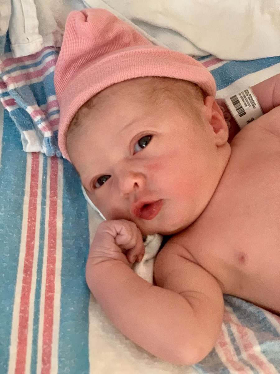 KyleLoethen's tweet photo. Welcome to the world our sweet baby girl, Reese Renee Loethen. Happy Birthday! #NewDad #DaddysLittleGirl https://t.co/bqYXDT6J5r