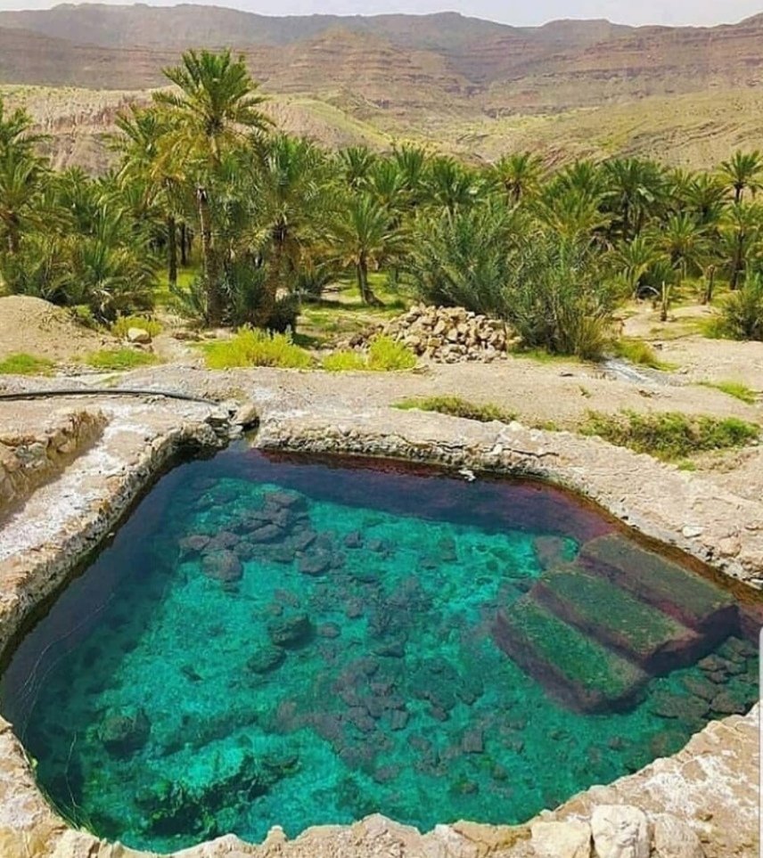 Riadh Fatnassi (@riadhfatnassi3) on Twitter photo 