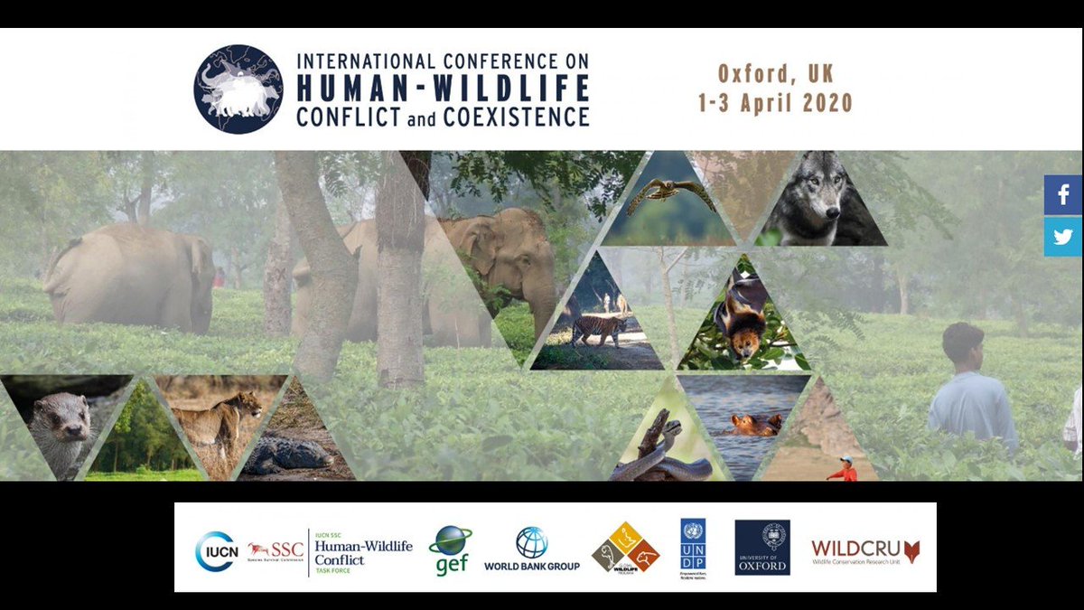 Midori Paxton tweet media