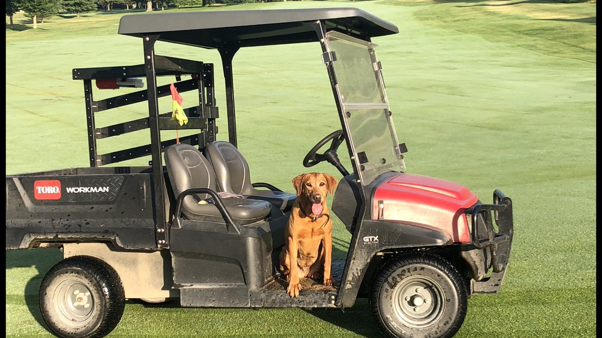 Mbccmaxime's tweet image. #NationalDogDay