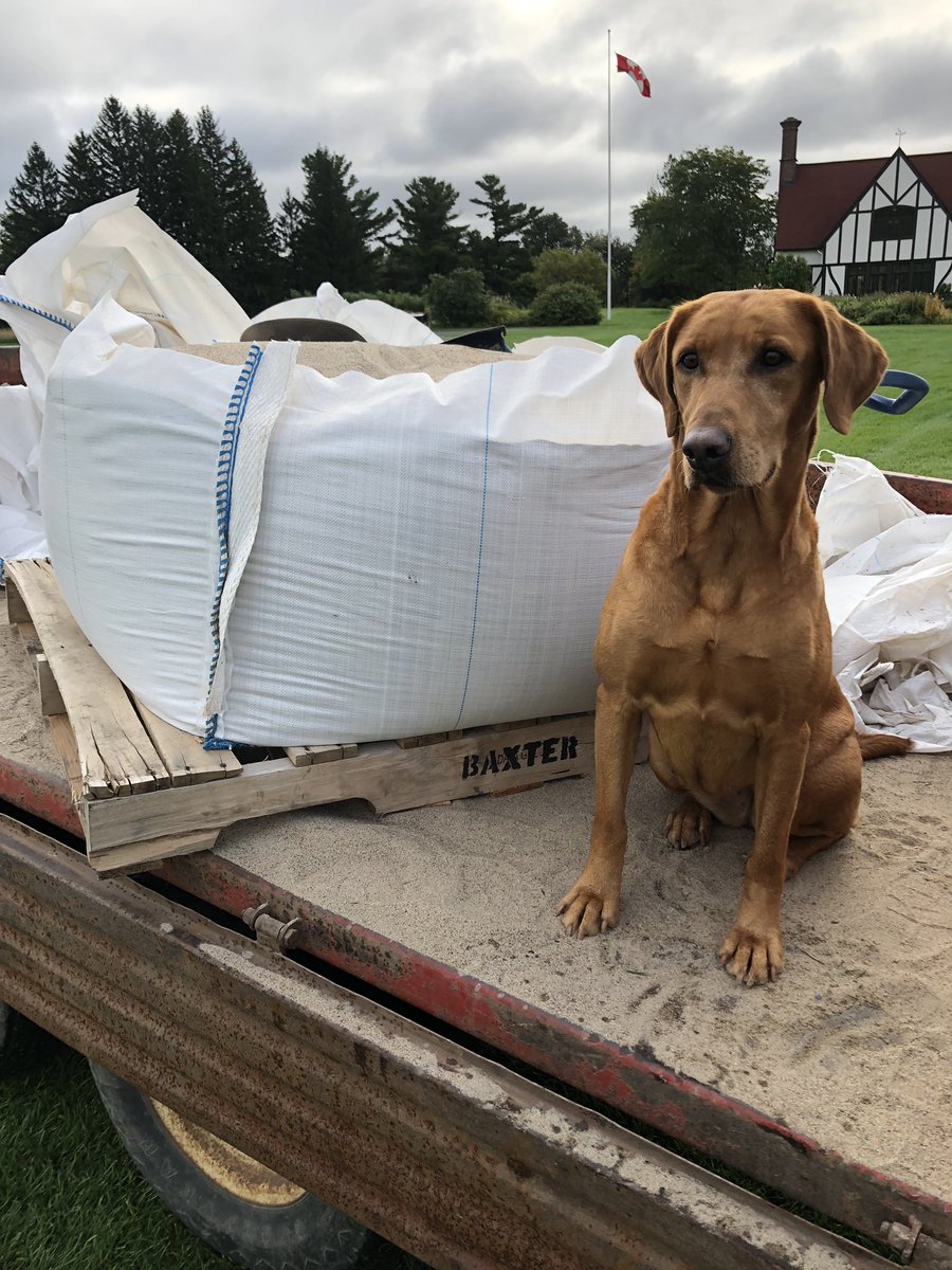 Mbccmaxime's tweet image. #NationalDogDay