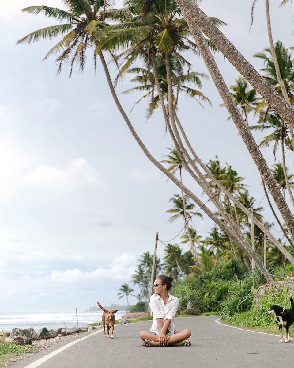 SLankax's tweet photo. Unawatuna, Sri Lanka

#srilankax #srilanka_x #travel #instatravel #travelgram #instago #instadaily #thingstodoinsrilanka #visitsrilanka #travelsrilanka #srilankatrip #srilankatravel #srilankadaily #srilankatourism #exploresrilanka #attractionssrilanka 

📸 svetline https://t.co/Y2EdSG1L9T