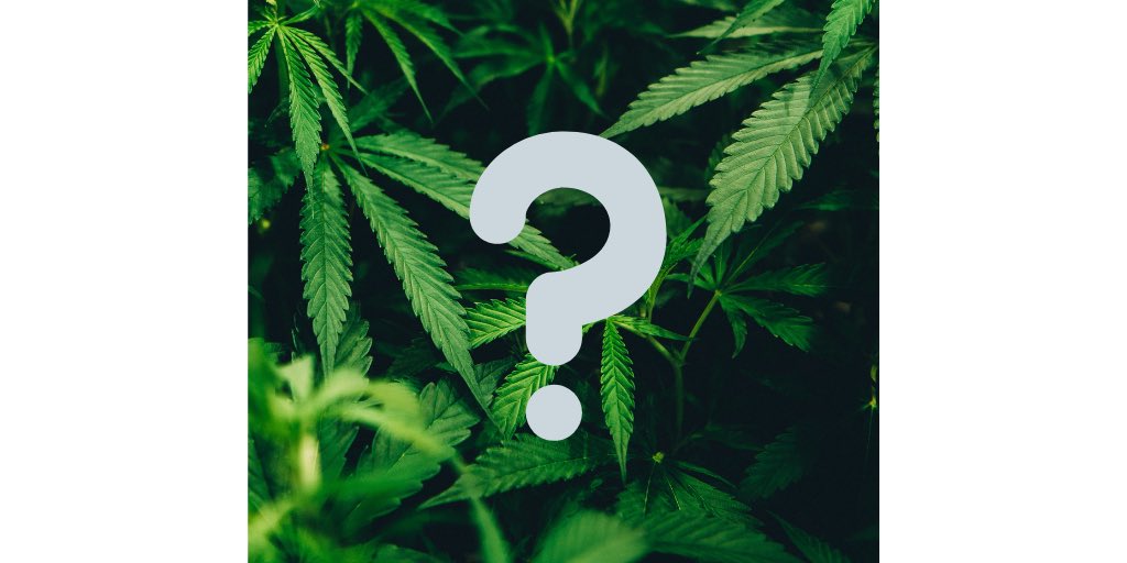 OmberryCBD's tweet photo. New Products Coming Soon! Can you guess what they are?

#OmberryCBD #Omberry #CBD #Health #Organic #Kosher #Holistic #Hemp #New #Shop #AlternativeMedicine https://t.co/EBYjwhx4m1