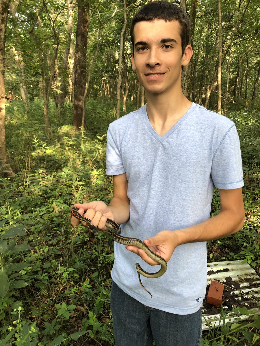 capsbio's tweet photo. Introduction to #coverboards at the @bvschools Wilderness Science Center. First find = #CommonGarterSnake #Thamnophissirtalis Learned to ID #AlligatorSnappers too! https://t.co/jH4wRNbzMf