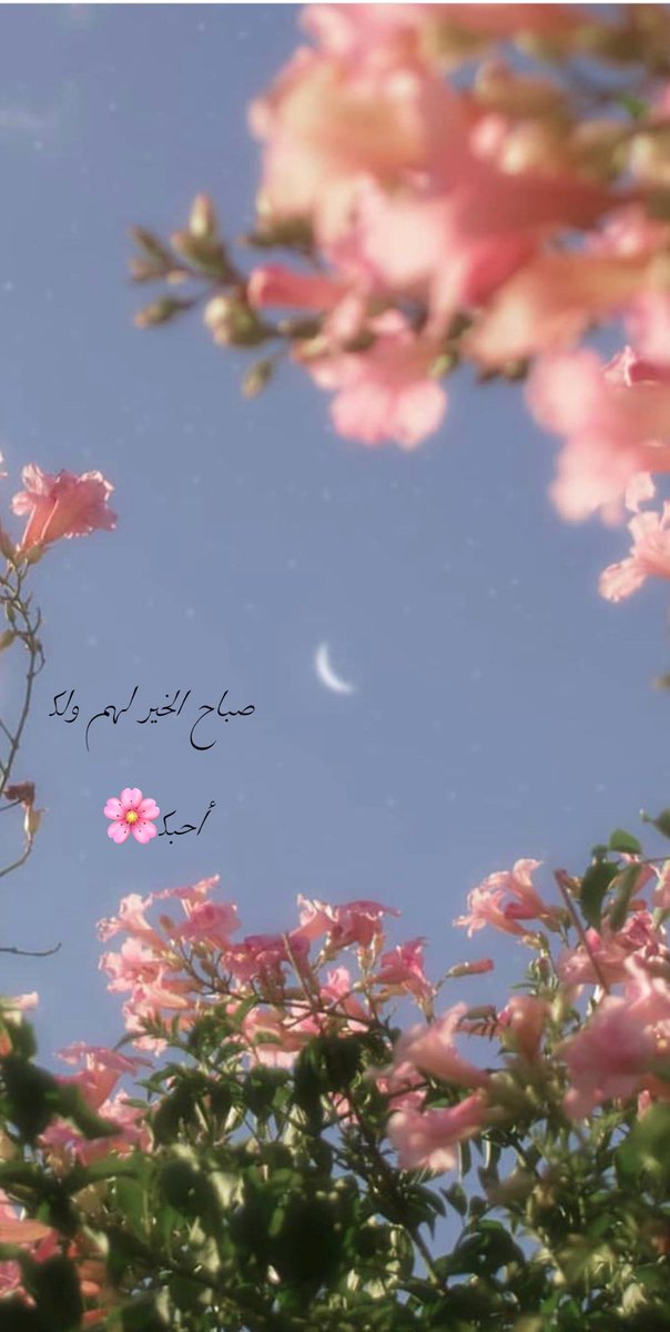 wedsaad_'s tweet photo. #صباح_الخير https://t.co/nNfTGb95he