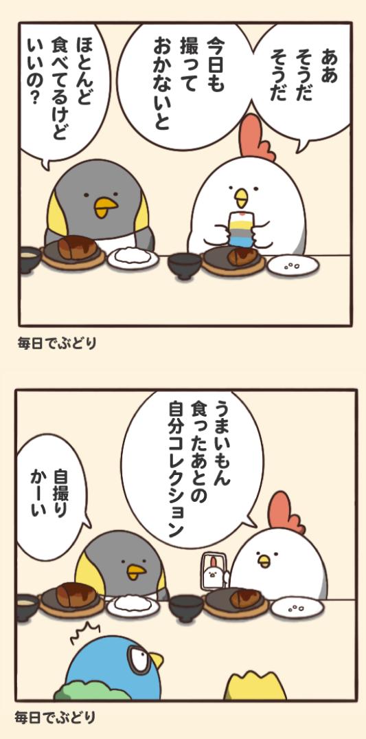 料理の写真 