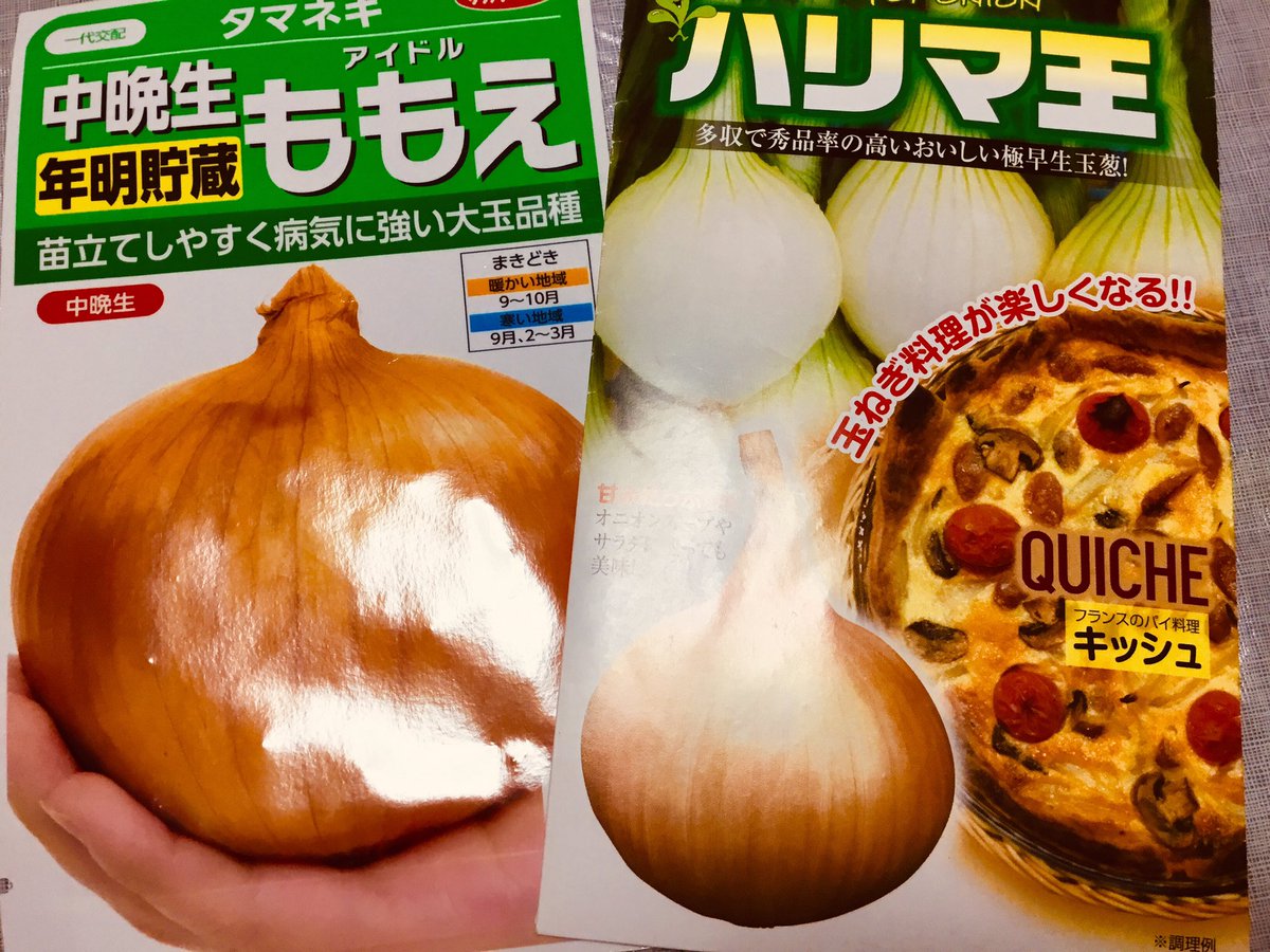野菜種まき