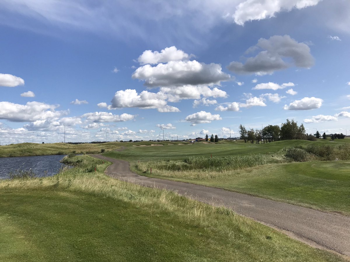 Wild Rose Golf tweet media