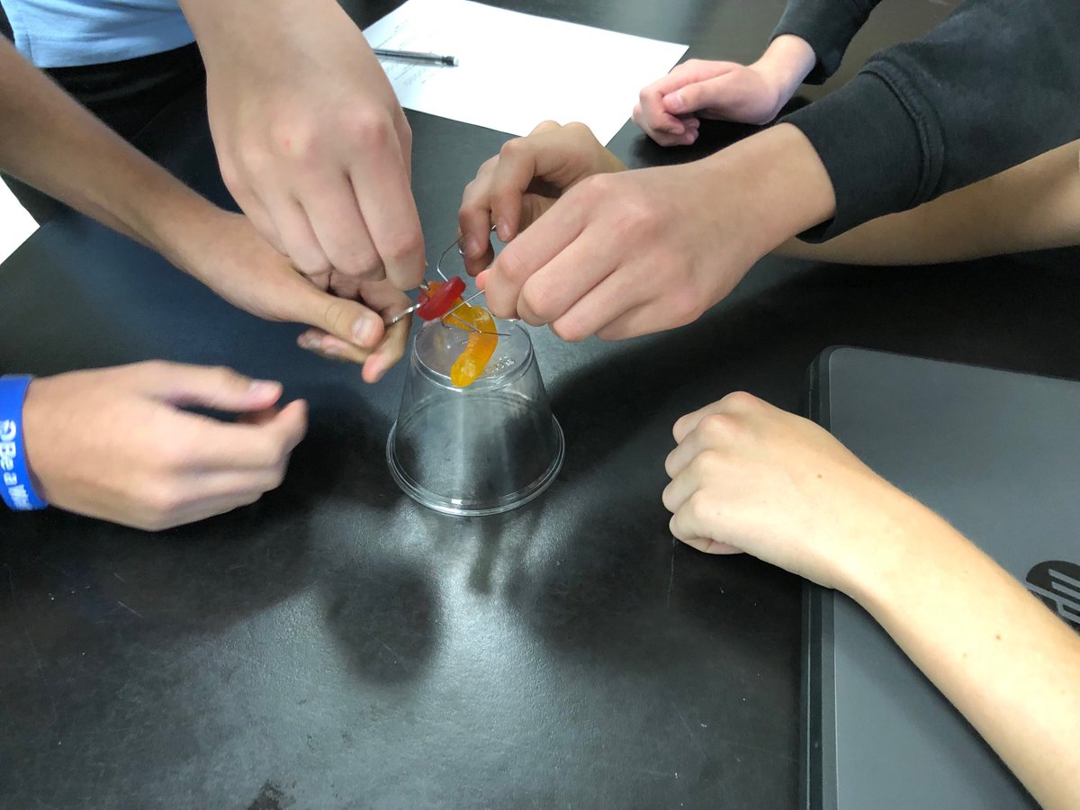 waymirescience's tweet photo. Students ⁦@WMSwarrior⁩ saving Slinky the worm with the Scientific method. #forneyfamily https://t.co/QnjZexs0ld