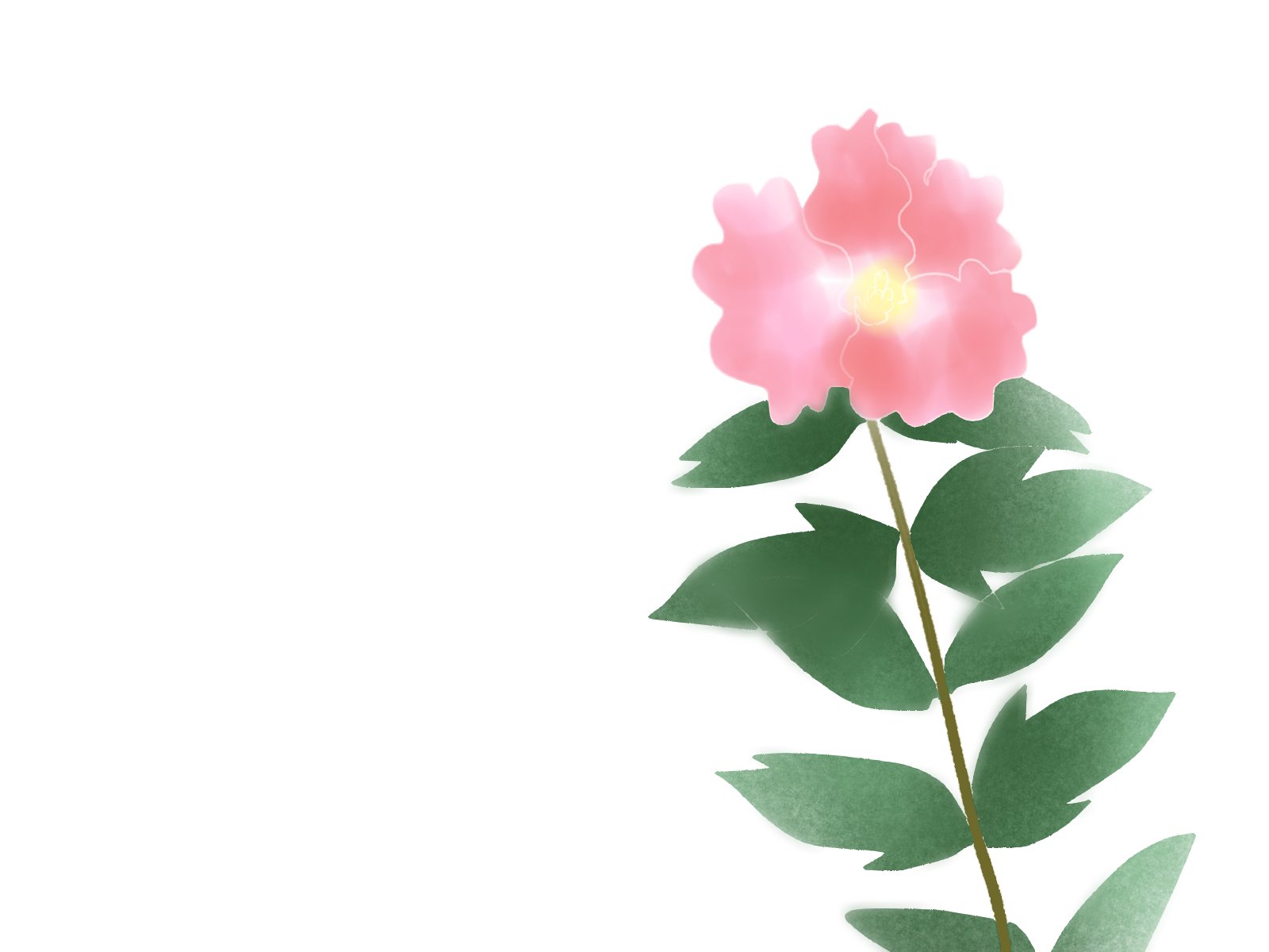 Twitter 上的 愛ちん ゆめみ愛 イラストacさん投稿の８月２７日の誕生花 芙蓉 フヨウ です 無料なので良かったらどうぞです T Co R4jmmpubjn 中国では芙蓉と言えば蓮の花を言うことが多いそうで 蓮の花を水芙蓉 日本でいう芙蓉を 木芙蓉と