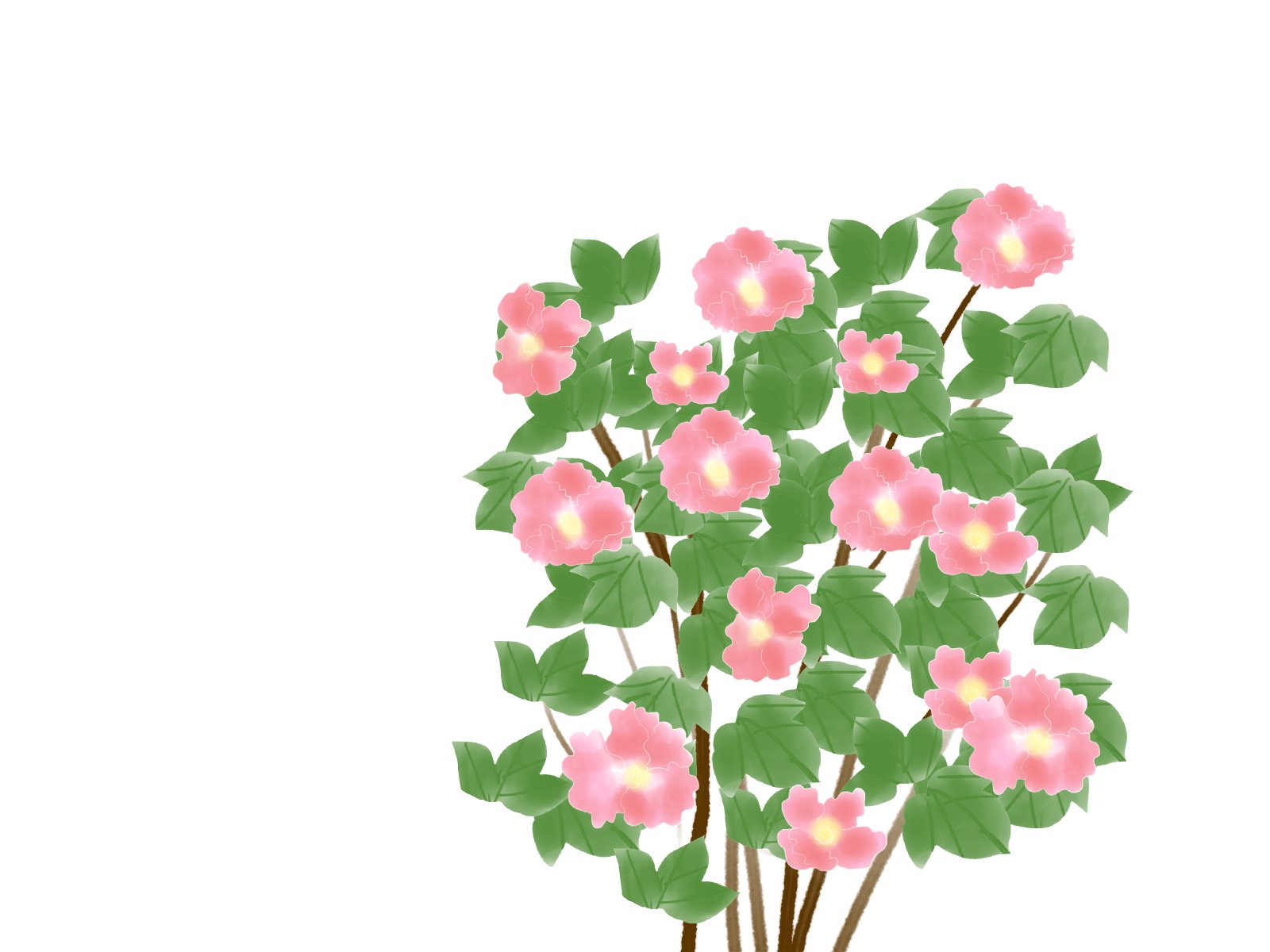愛ちん ゆめみ愛 イラストacさん投稿の８月２７日の誕生花 芙蓉 フヨウ です 無料なので良かったらどうぞです T Co R4jmmpubjn 中国では芙蓉と言えば蓮の花を言うことが多いそうで 蓮の花を水芙蓉 日本でいう芙蓉を 木芙蓉と使い分け