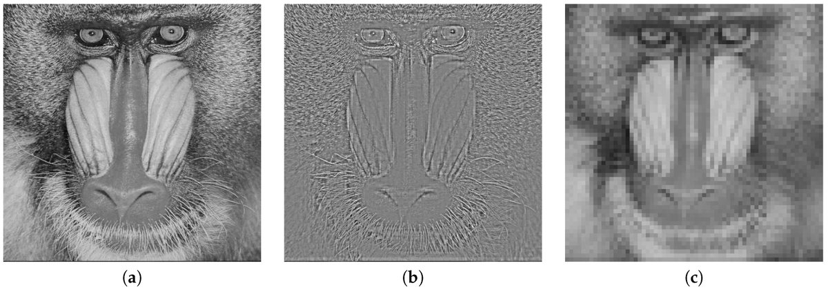 Entropy_MDPI's tweet image. #mdpientropy Reversible Data Hiding in JPEG Images Using Quantized DC mdpi.com/1099-4300/21/9…  

#reversible #datahiding
#JPEG 
#DCT coefficients
#DC coefficients
#entropy