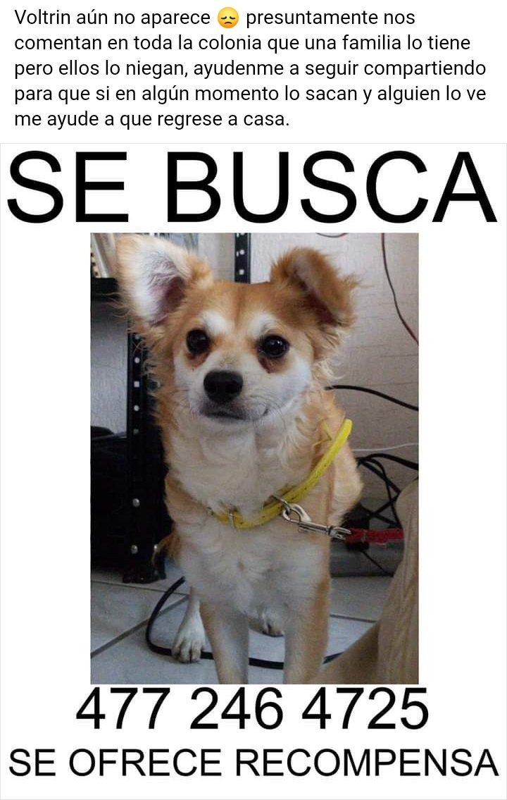 teresandovalv's tweet photo. Me podrían ayudar a compratir? Por favor!! @iguanomayor @SoyJVModel @VivoEnLeon 

Muchas gracias por su apoyo https://t.co/ZJf0lYnTlZ