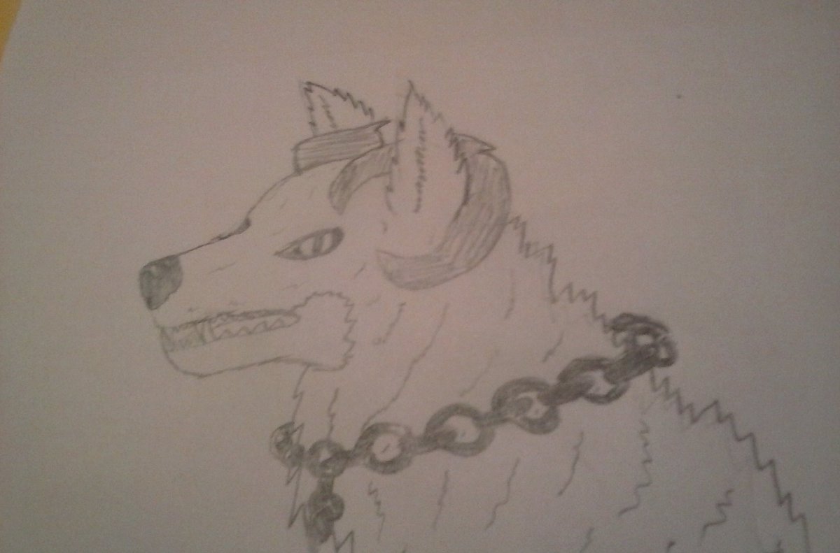 ShadowMoons4's tweet image. Since I haven't posted in a while take some art I have drawn out, been drawing out a lot. I will have to post two posts to show how much I have drawn out. The dragon one was drawn out during a tutorial on youtube. The others are my own drawings and styles.