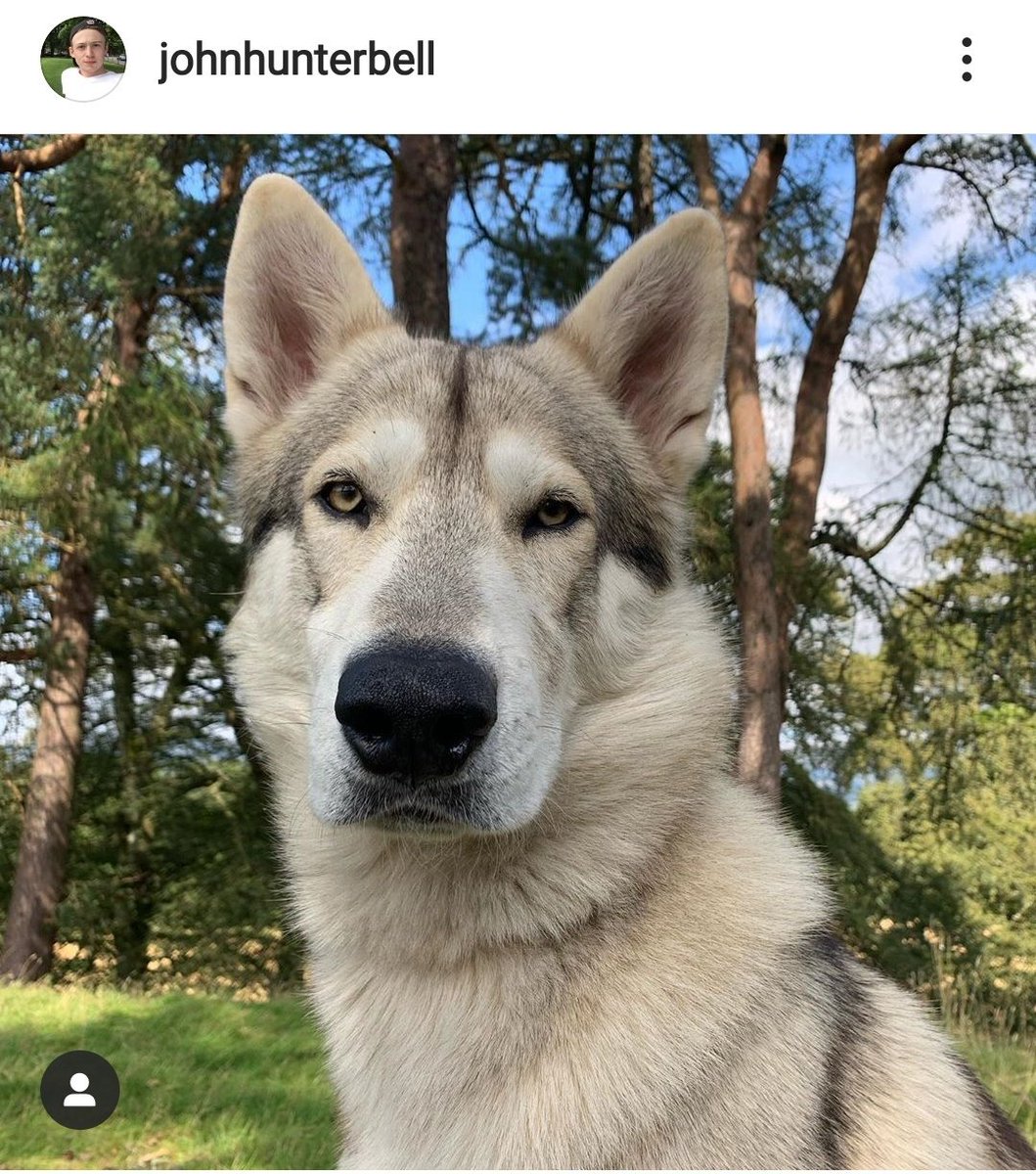 Awww - <a href="/JohnBell/">JOHN BELL</a> is the sweetest! #happynationaldogday