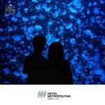 ツイートに含まれる画像