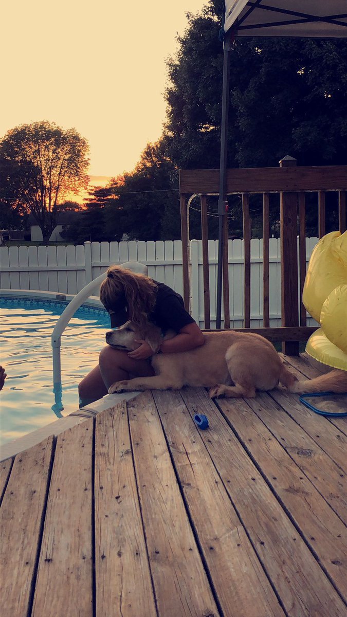 l_bennett11's tweet photo. happy national dog day to my bestest friend 🐾💛 #NationalDogDay https://t.co/aal1mX5qbp