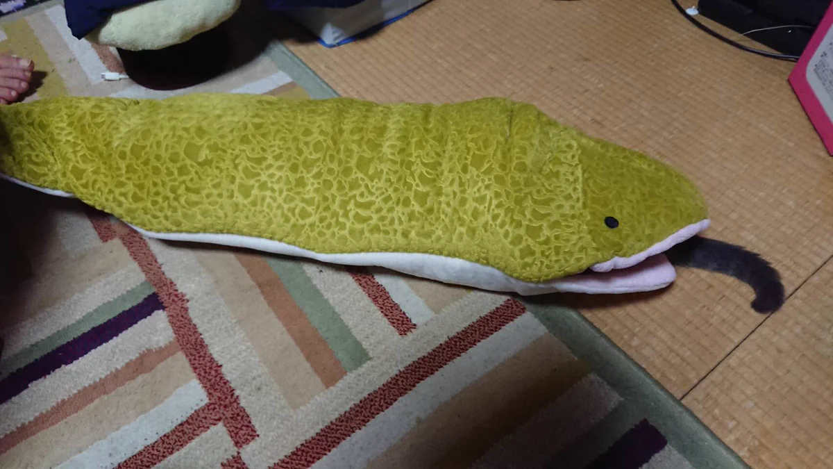 これは可愛すぎる！！我が家の蛇に食べられる猫ちゃん！