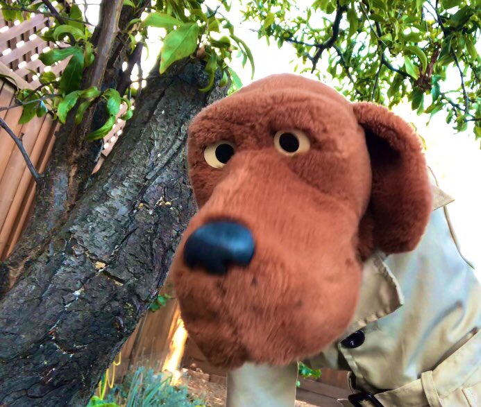 Treehouselearn3's tweet image. Happy National Dog Day from Detective Bingo #NationalDogDay