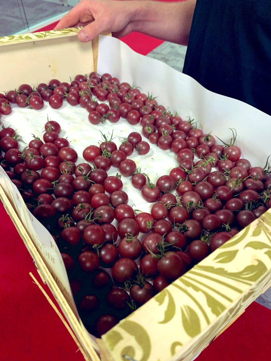 Quand <a href="/PLTourneur/">Pierre-Louis Tourneur - le Gourmeur</a> fait découvrir les tomates cacao