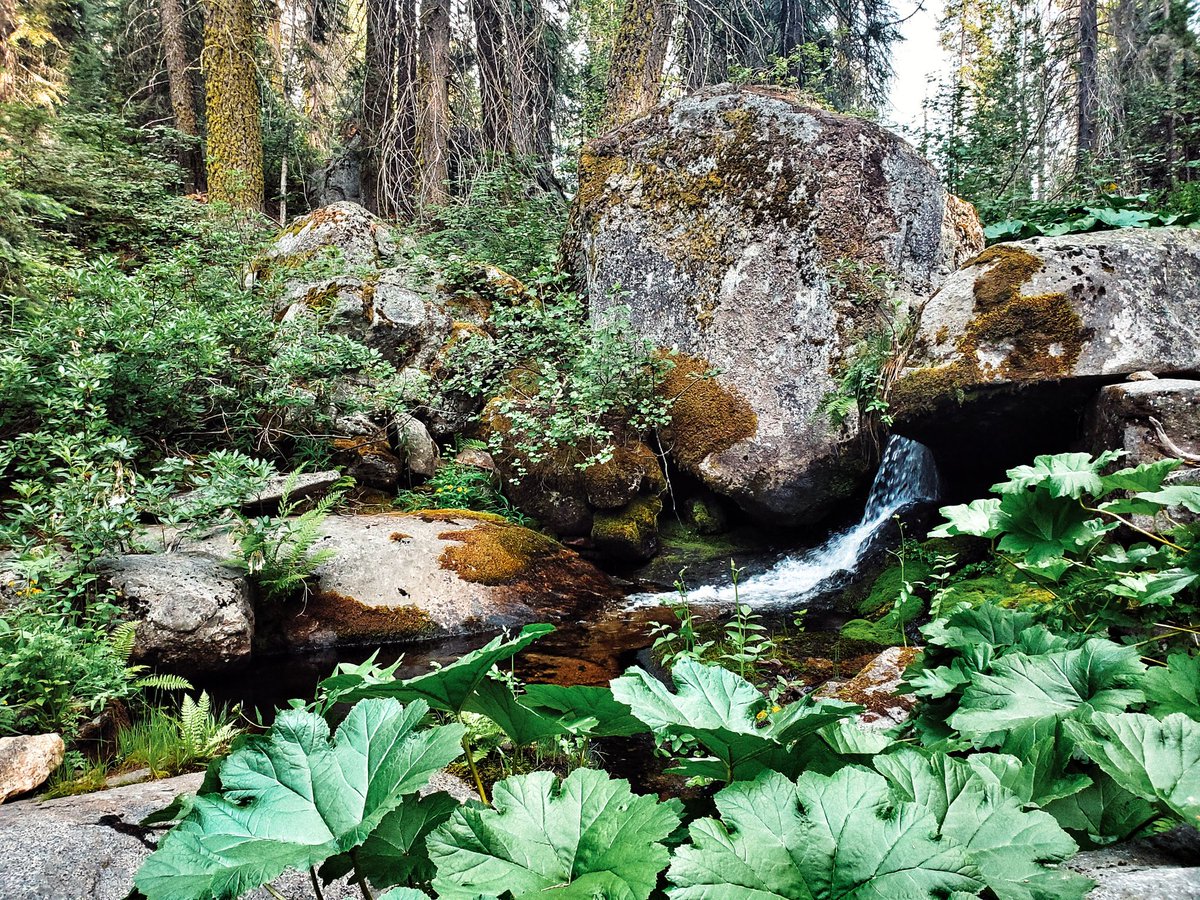 What I mean when I say 'let's chill'
#nature #hiking #california #californiahiking #adventure #wanderlust #hiddentrails #secretgarden