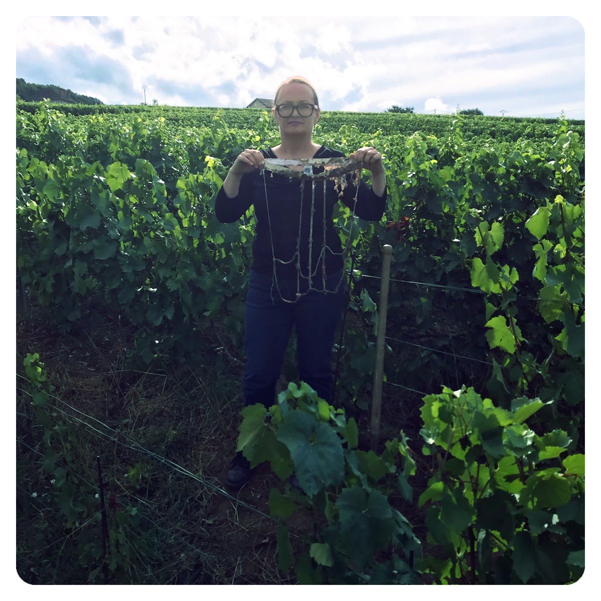 En terre ton slip ! Petit rappel du défi : Enterrer un slip blanc 100 % coton et le déterrer quelques semaines plus tard. Plus le slip est dégradé, plus l'activité biologique du sol est active ! Votez ici pour Nathalie tinyurl.com/En-terre-ton-s…