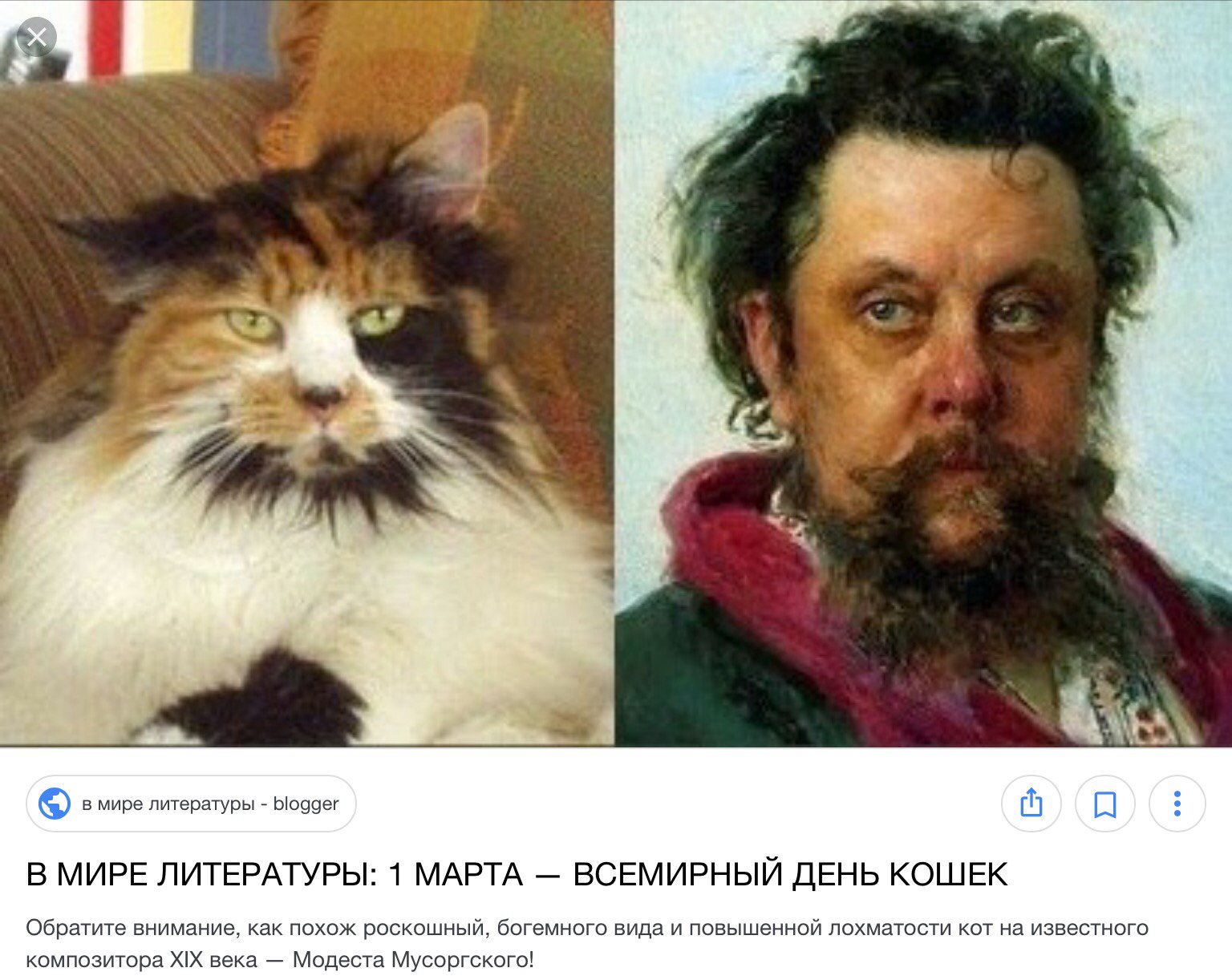 Актер похожий на кота