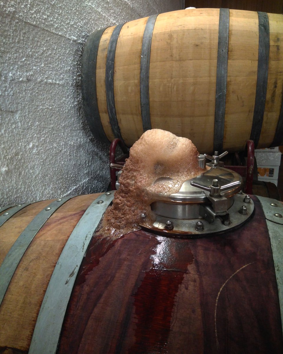 eleusisbeer's tweet photo. The Blueberry Oud Bruin is on fire. https://t.co/RP07G7CTV2