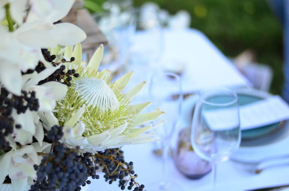 blankeventsZA's tweet photo. Styled shoot with Creative Haus
#shoot #decor #tablesetting #setting #flowers #blankevents #eventarmy #event #party #partyplanning @ Stellenbosch, Western Cape https://t.co/6MDUizizU7