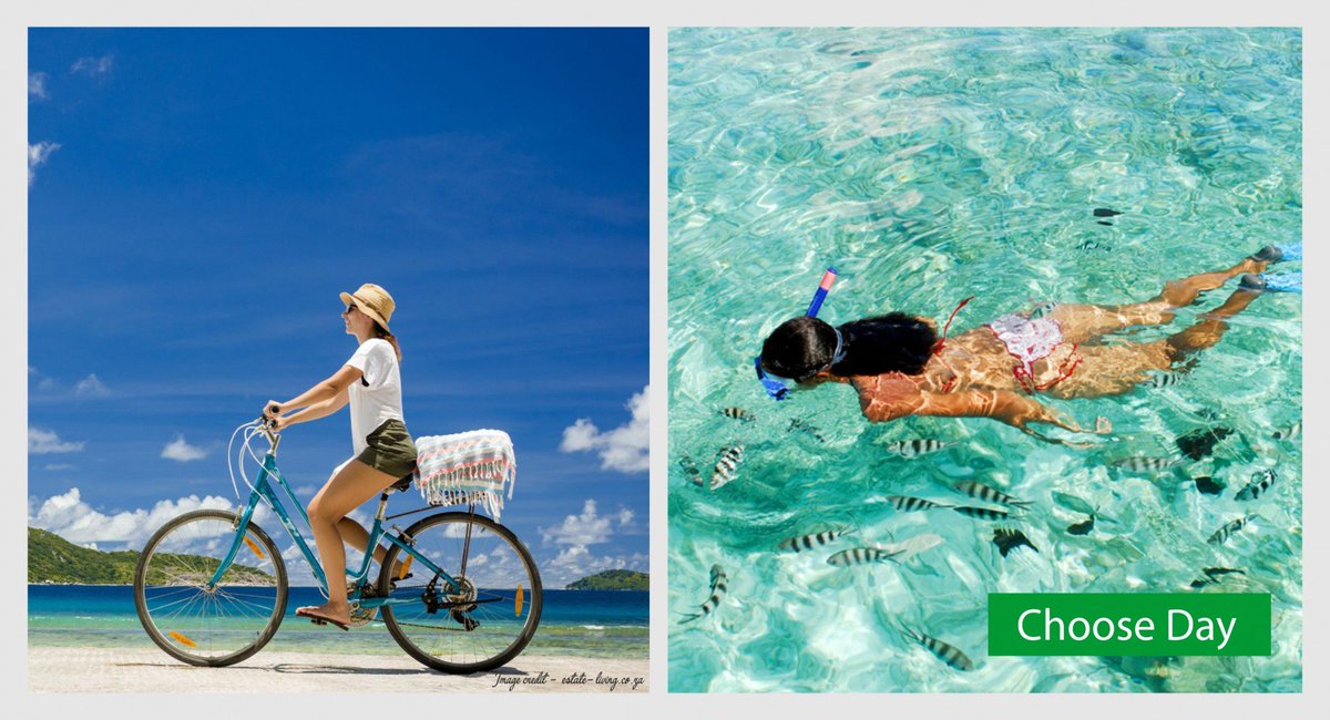 SeeSeychellesSA's tweet photo. How would you prefer to explore La Digue Island on a #Chooseday? Snorkeling or cycling?

#Seychelles #Chooseday #LaDigueVibes https://t.co/BOXsxFM5ZX