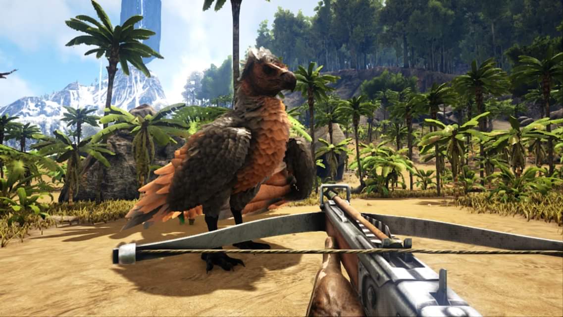 Mk ゲーム用アカウント アルゲンタヴィスって近づいたり攻撃したりすると追いかけてくるイメージでしたが逃げる時もあるのですね O W O 麻酔矢を１回打ち込んだら私の方ではなく逃げるように反対に飛んでいきました なので