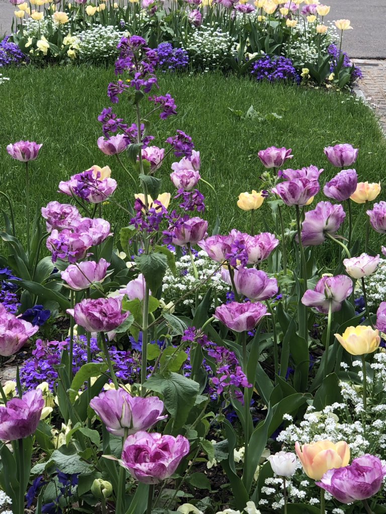 hanaj111's tweet photo. Lovely day 💐🌺to you all #LoveFlowers https://t.co/SF2jbbAmS4