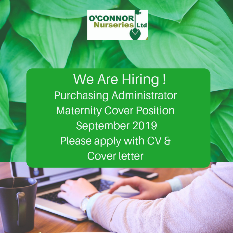 OC_Nurseries's tweet photo. Applications are still open for the position of purchasing administrator at O'Connor Nurseries. Please go to https://t.co/wbHu0UNzvM for more info or email susan@oconnornurseries.ie #jobfairy #Gorey #Wexford https://t.co/pPwo0oxC6z