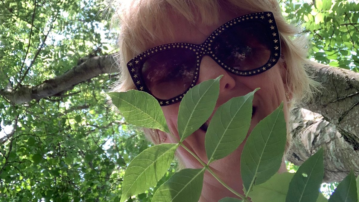 Getting stuck into #26trees again today. The humble ash tree is the tree of the writer, poet and scholar, renowned for magical and mystical properties and carried for luck, healing and wisdom. I'll take three, please!  <a href="/26characters/">26</a> #writer #ashtree #trees <a href="/woodlandtrust/">WoodlandTrust</a>