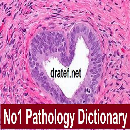 DrATEFAHMED's tweet image. No1 Pathology Dictionary
amazon.com/dp/B07WYYDJWF/…

#interphase #pathology #anaphase #carbopro #breakfast #music #recording #daw #metaphase #prophase #bluegoose #snowgeese #hunting #flatlandflywaysdiagnosis #doctor #neurology #usmle #quiz #pathology #spine #craniotomy #spinesurgery