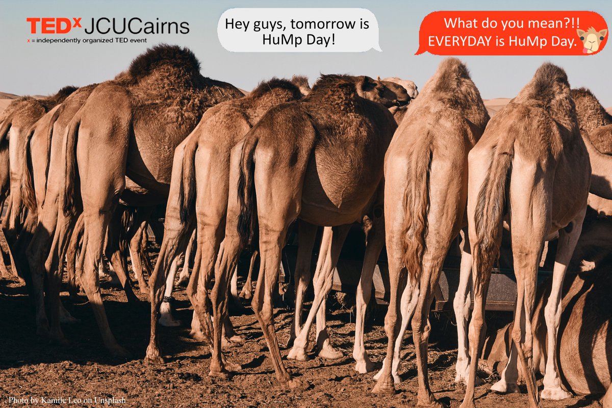 To help you kick HuMp day in the a….. we will be announcing our 4th speaker for 2019 on Wednesday. So watch this space tomorrow to learn who else will bravely take our stage on 9th of November at <a href="/jcu/">James Cook Uni</a> Cairns.
#TEDxJCUCairns #TEDxTalk #HuMpDay