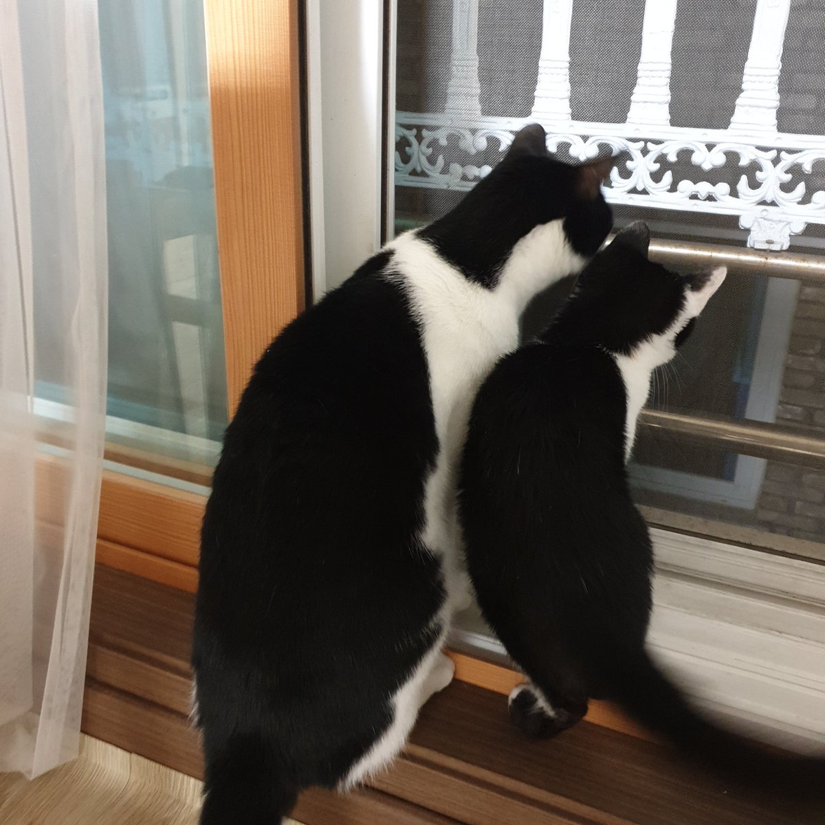 노네 둘이 뭐하니