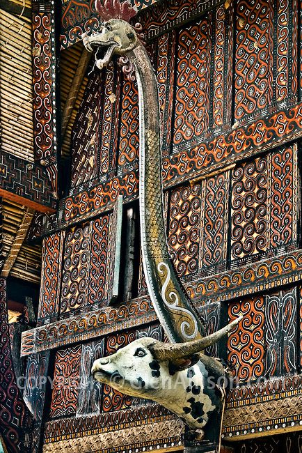 Toraja's Naga- Sulawesi island (Indonesia)