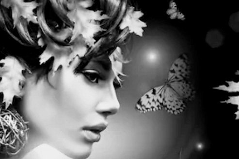 sanjaraic1's tweet photo. Night of abalone Moon
Leaves die in sighs of trees
Wind #tangles my hair
#Arrayed in dress
Of sulfur&mercury
Willows mourn 4 moribund
Of summer robe
Current of cold air
Gets me naked
Veins shudder of
Approaching fog
Thirsty for
Comfort
Lips
Drain last drops
Of lily sap.
#vss365 https://t.co/TzgFbfwrxM