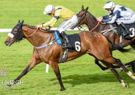 We're @MusselburghRace in the 630 with Lucky Violet (below) ridden by @Gormless123 who won on her last season. Here's hoping they manage to repeat that effort. In the 600 we run Let Right Be Done (@andrewkmulleng1 ) and Bareed (@AndrewBrezz ). Best of luck to all connections.