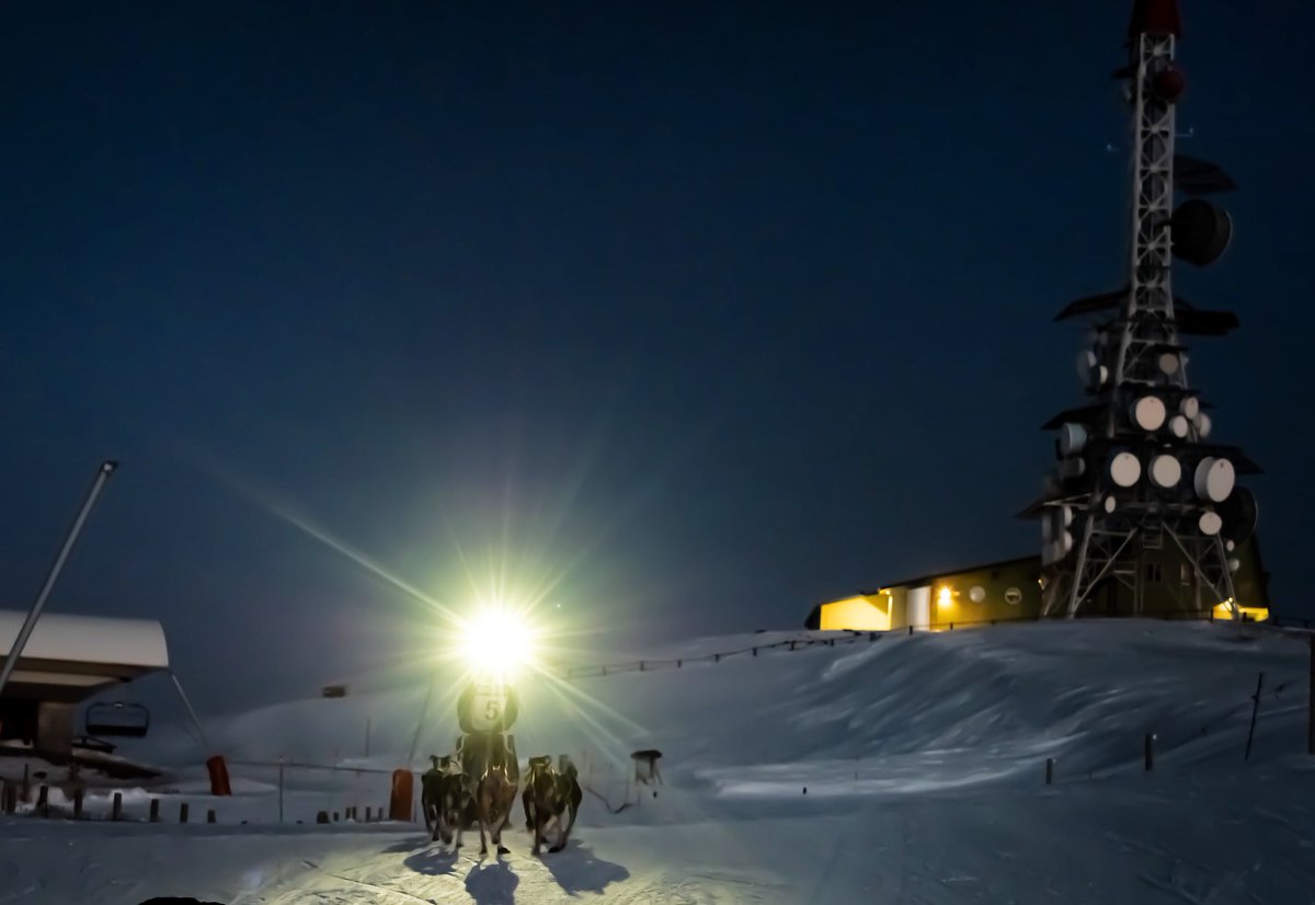 GosArtic's tweet photo. ¿Hay algo más mágico que el #mushing bajo la luz de la luna? Sólo el ruido de las pisadas en la nieve y la respiración de un equipo que trabaja y disfruta para lograr su objetivo 💙❄️ #mushinglifestyle #gosàrtic #snowrace2020 @SkiPallars @jardiland_esp @aralleida @Affinitypetcare https://t.co/ZAmnbKDsd8