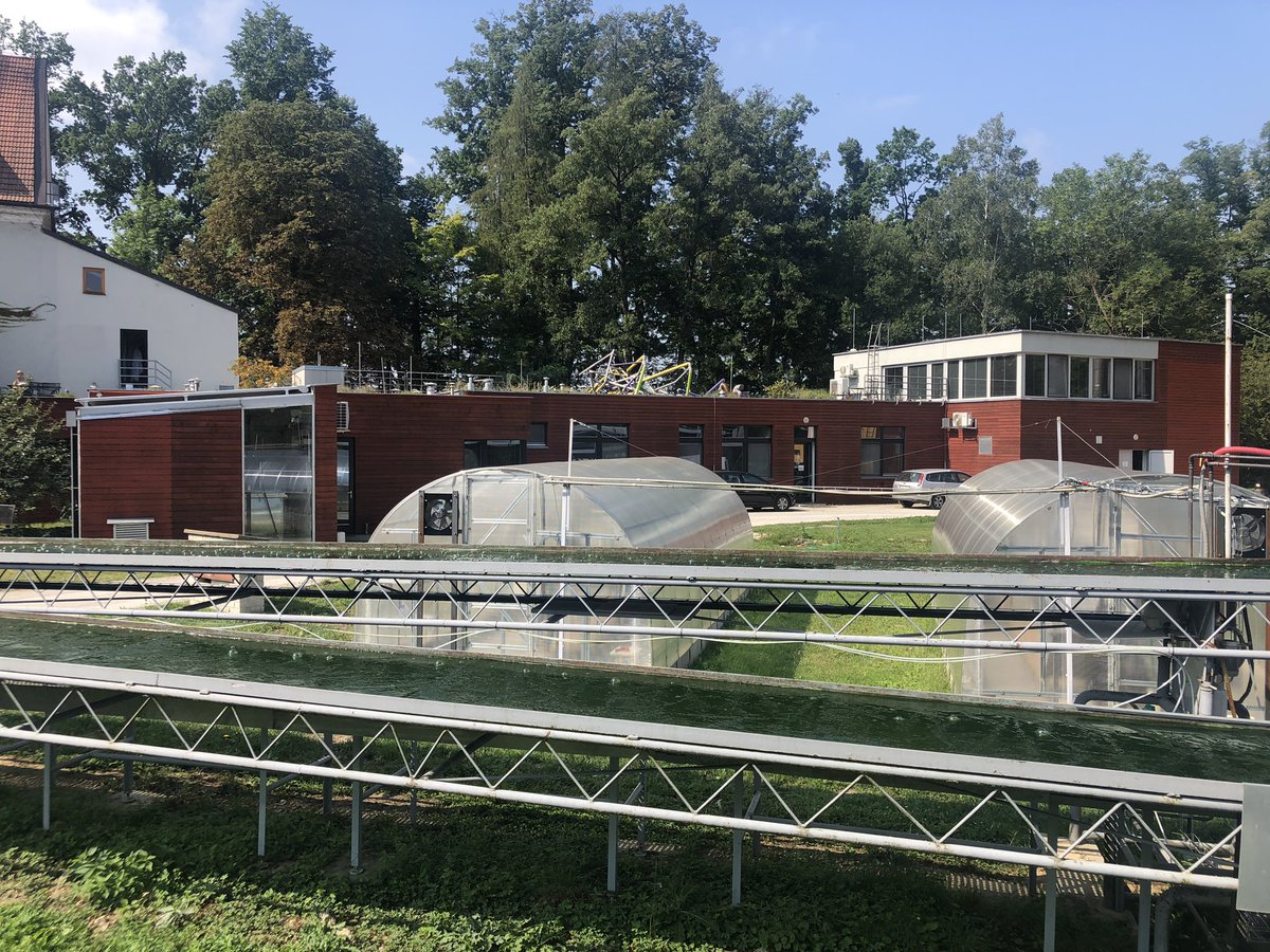 elena_delpup's tweet image. Today at the #ALGATECH #Laboratory of #Algal #Biotechnology, Institute of #Microbiology, Trebon (Czech Republic) #University of South #Bohemia @Ceskebudejovice @EuroleagueLife for the #Summer #School on #Bioeconomy 2019