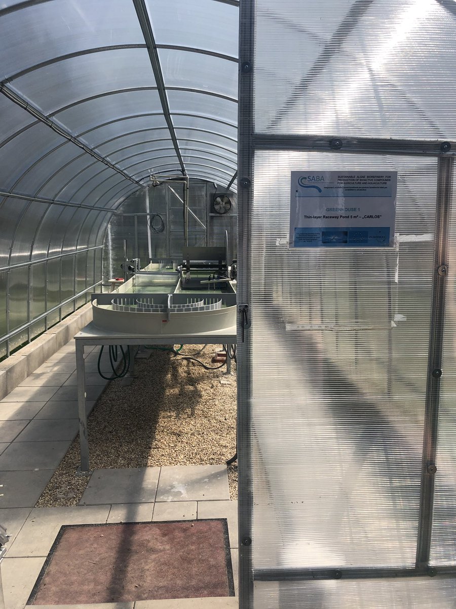 elena_delpup's tweet image. Today at the #ALGATECH #Laboratory of #Algal #Biotechnology, Institute of #Microbiology, Trebon (Czech Republic) #University of South #Bohemia @Ceskebudejovice @EuroleagueLife for the #Summer #School on #Bioeconomy 2019