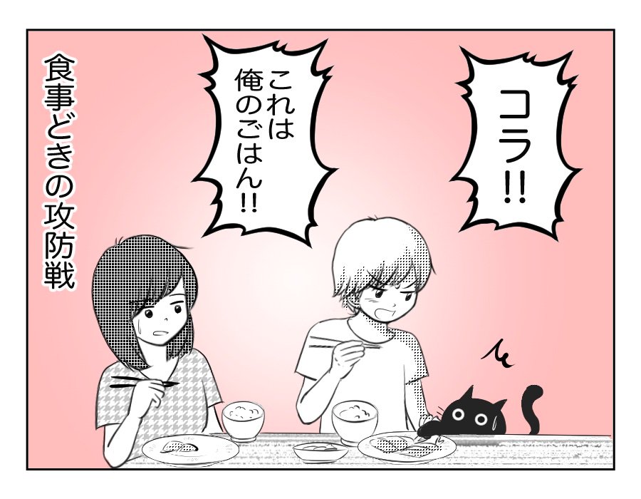 食事をつまみ食いしたい猫にしたこととは!?
12話もUPします! #息猫 #猫のいる暮らし 