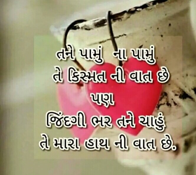radhika parmar (@zeelparmar17) on Twitter photo 