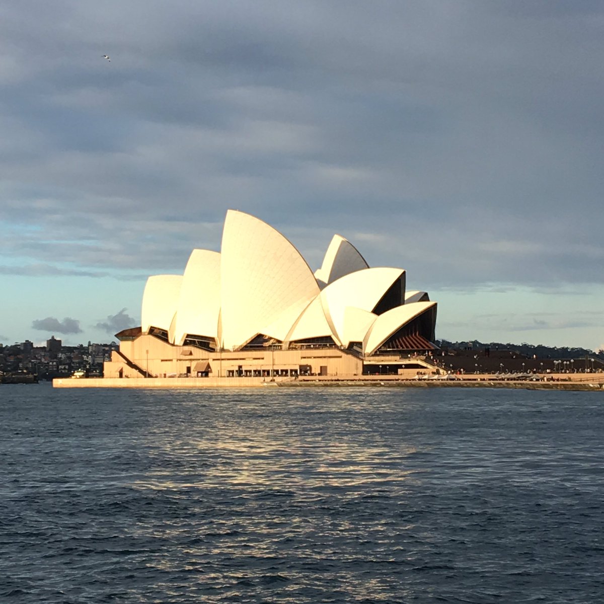 wellywoodanna's tweet photo. Is it cocktail or beer o’clock yet? @DreamingSYD #sydney #salesforce #trailblazercommunity #dudse Coming at ya @simongascoigne @bextabooo @vickiejeffery #CGLANZreunion https://t.co/TmQuxVHJZV
