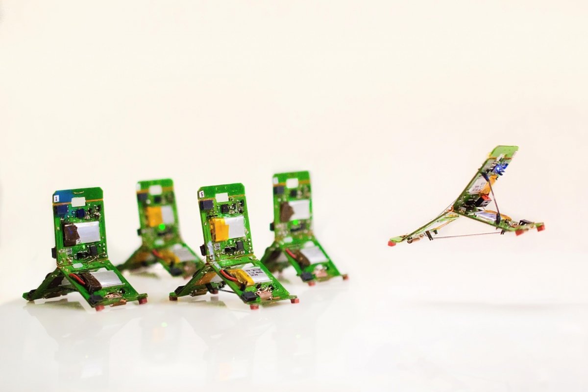 Would you like to have robo-ants in your kitchen to clean your floor? These little robots are simple but work great in a group. Just like their role models in nature. #AI, readyforsocial.com/a981a24461d